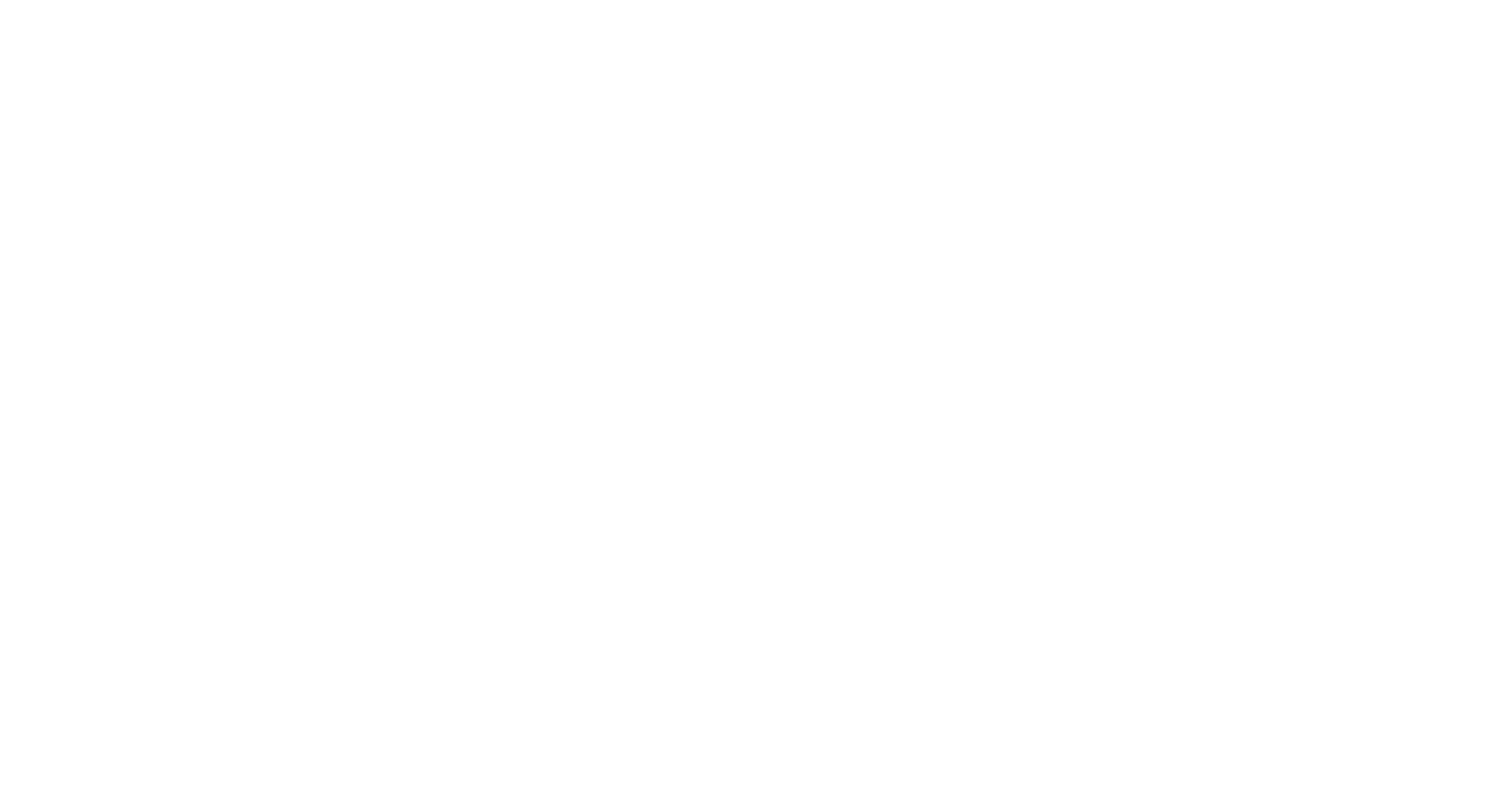 NetVoice